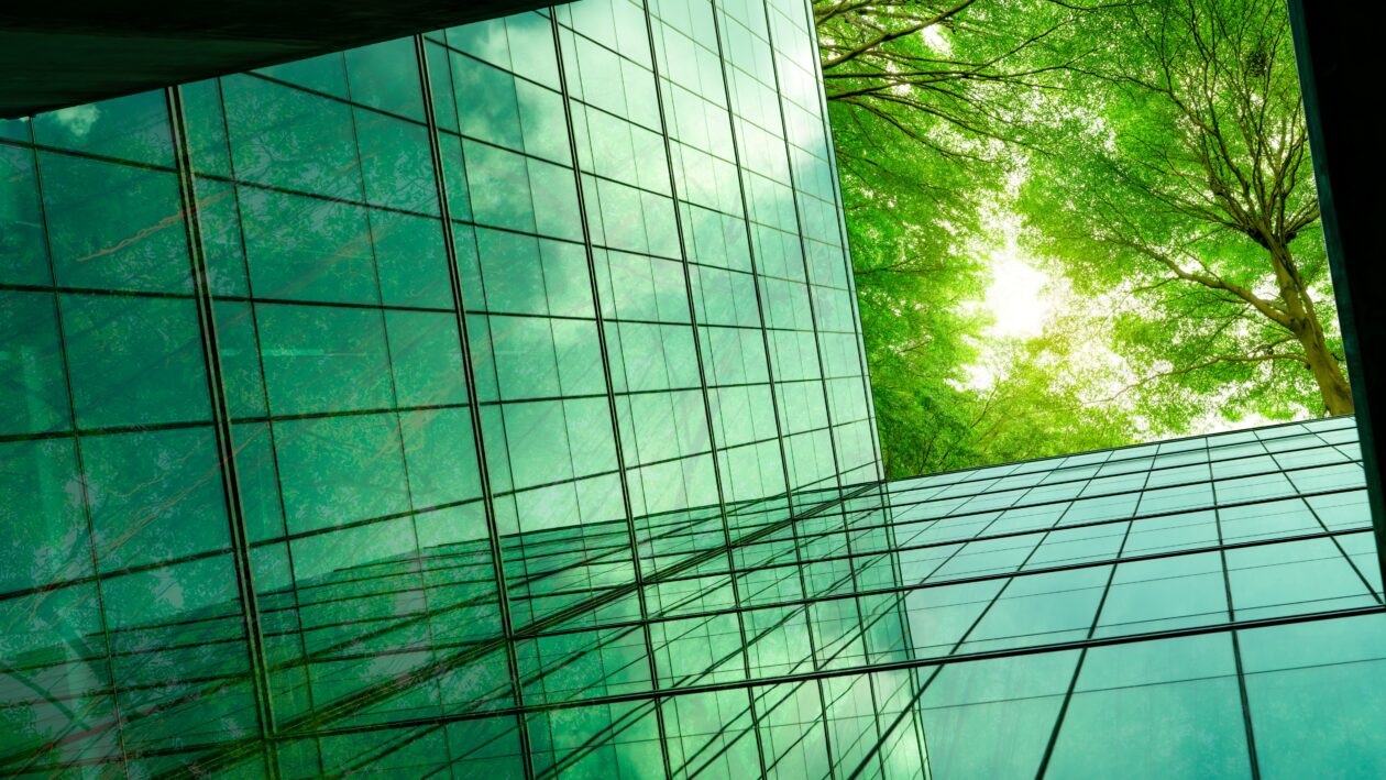 Trees and sunshine reflecting off a glass building