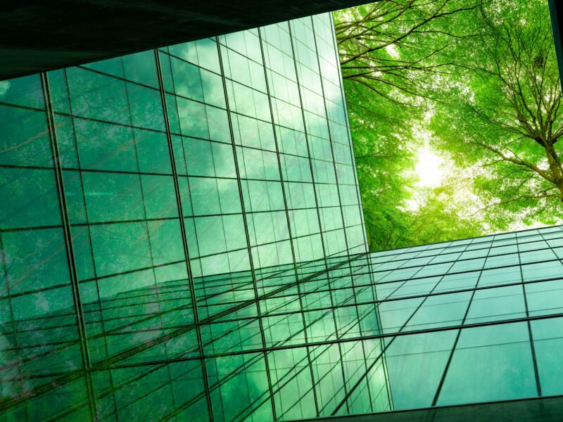 Trees and sunshine reflecting off a glass building